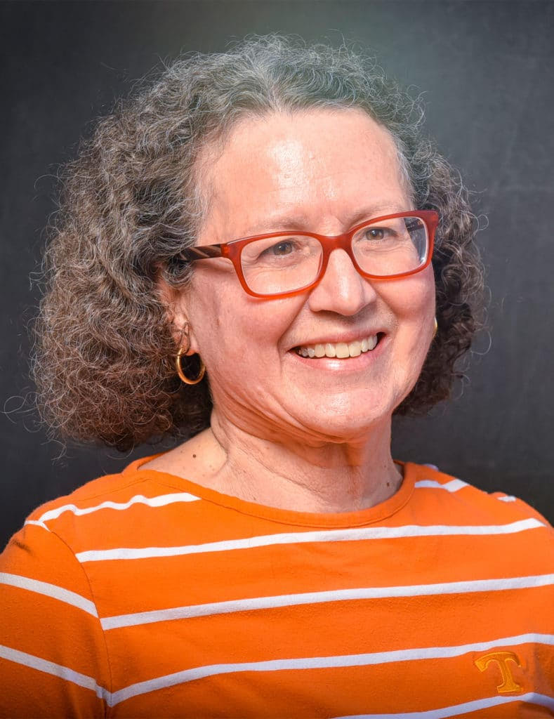 Prof. Suzanne Lenhart